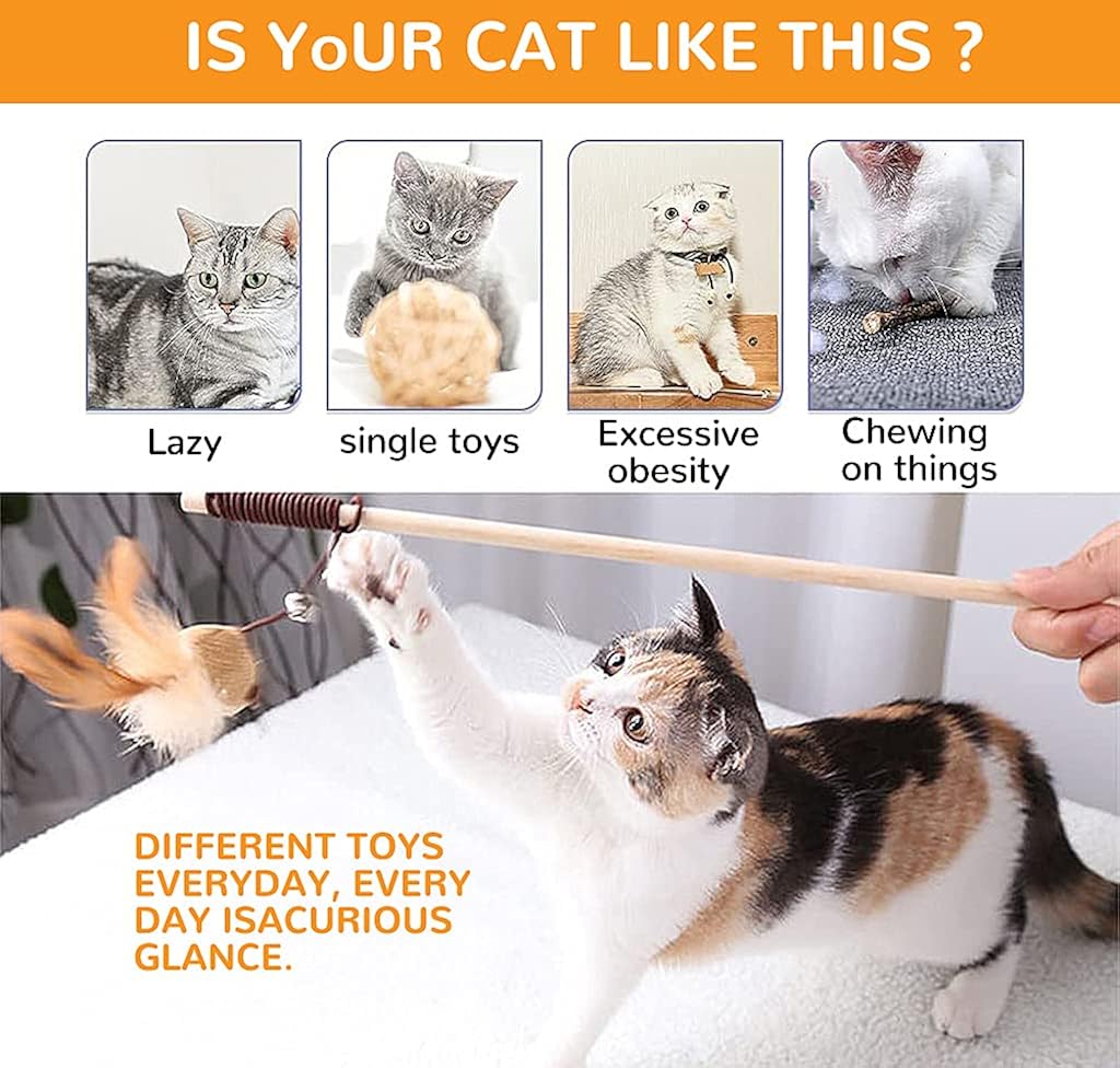 Qpets® Premium Interactive Cat Toys Set of 5 with Teaser Wand, Suction Cup, Natural Feather Mouse Toys for Kittens and Indoor Cats, Multi-Scene Play Combo for Activity and Exercise Qpets® Premium Interactive Cat Toys Set of 5 with Teaser Wand, Suction Cup, Natural Feather Mouse Toys for Kittens and Indoor Cats, Multi-Scene Play Combo for Activity and Exercise